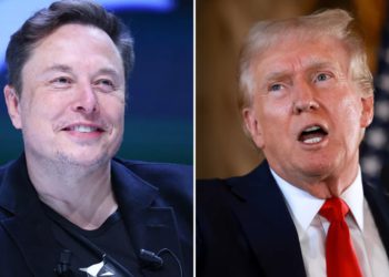 馬斯克、川普直播精華》隻字未談比特幣與區塊鏈，TRUMP概念幣全面走跌