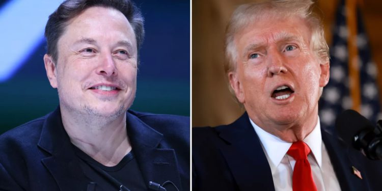 馬斯克、川普直播精華》隻字未談比特幣與區塊鏈，TRUMP概念幣全面走跌