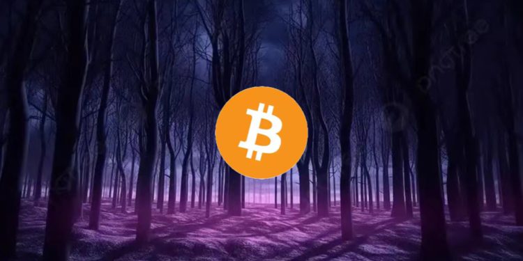 Polygon高管自爆：90％公鏈都會向生態項目索要空投，EigenLayer非個案