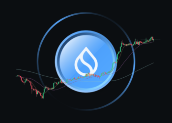 Sui單週「飆漲35%」領跑加密市場！檢視關鍵原因、未來布局策略