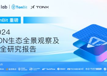 2024年TON生態深度報告：發展潛力與安全風險全面剖析