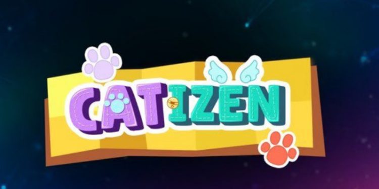 Catizen 修改空投規則惹眾怒，官方解釋：防止機器人作弊