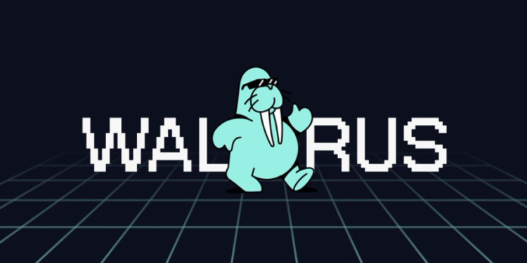 Sui 推出「Walrus」去中心化儲存新方案，有何特色？可埋伏空投？