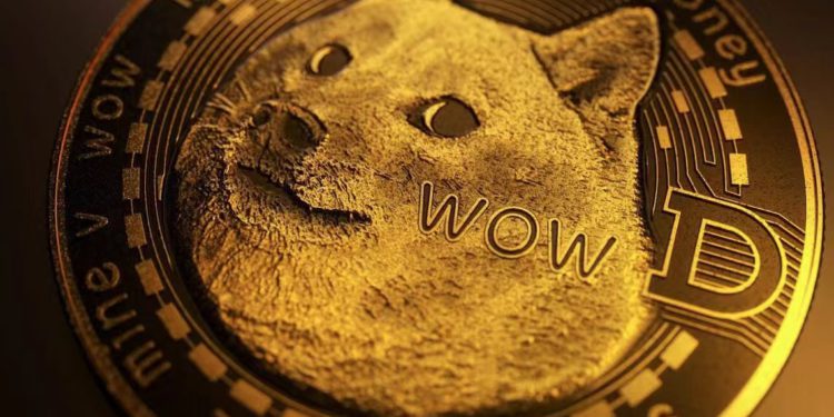 狗狗幣DeFi生態！QED Protocol合作Nexus，在Dogecoin引入零知識證明虛擬機zkVM