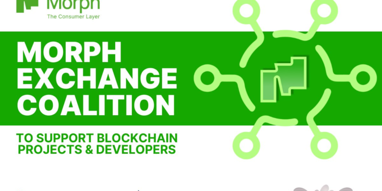 Morph將推出中心化交易所聯盟，為優質專案和開發者提供多方支持