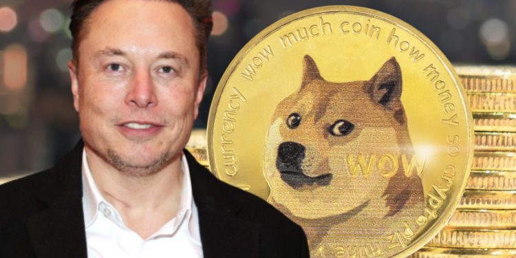 馬斯克喊盤效應再現「狗狗幣暴漲17％」，美國已有超4000萬人提前投票
