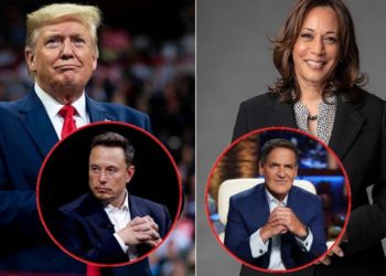 馬克庫班爆料：賀錦麗拒絕「密會馬斯克」怕他扭曲事實、Musk 要求現場對決