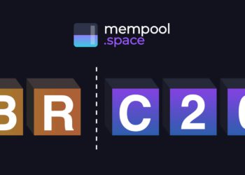 BTC開源瀏覽器「Mempool」顯示Ordinals和Runes被社群罵爆：比特幣的恥辱