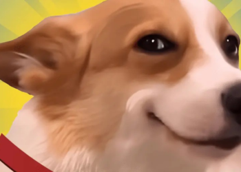 SunDog：波場 TRON 生態中的新晉明星，下一站頂級交易所？