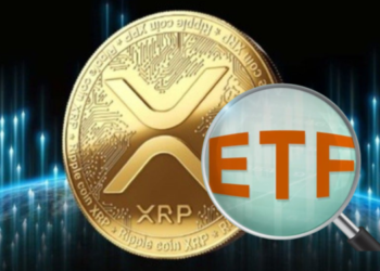 瑞波現貨ETF來了？分析師斷言：Bitwise通過審查機率近乎零，SEC再上訴XRP大跌10%