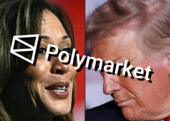 高重建專文》我在 Polymarket 預測賀錦麗勝選，輸了兩塊錢