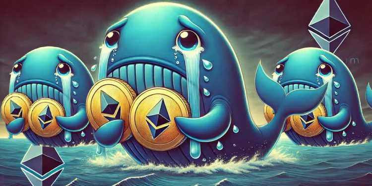 慘輸！做多ETH/BTC巨鯨「割肉千萬美元還債」以太坊何時才會反彈？