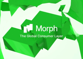 消費級公鏈Morph的「藏寶圖」：早期用戶如何探驪得珠？
