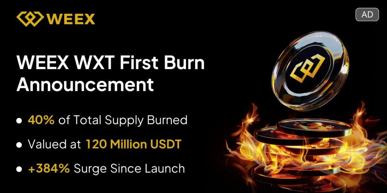 平台幣崛起新勢力：WXT如何走出自己的「BNB之路」？ | 動區動趨-最具影響力的區塊鏈新聞媒體