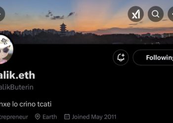 評論》Vatalik急了！換Milady頭照表態：看不起NFT和MEME，結果是得罪用戶、失去市場