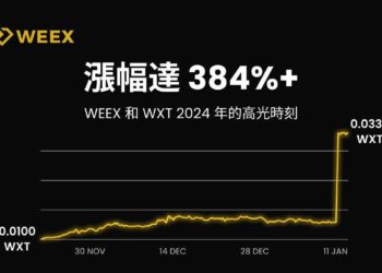 WEEX 2024年度報告：用戶突破 500 萬，日均交易額超 50 億美元，團隊規模達 500+