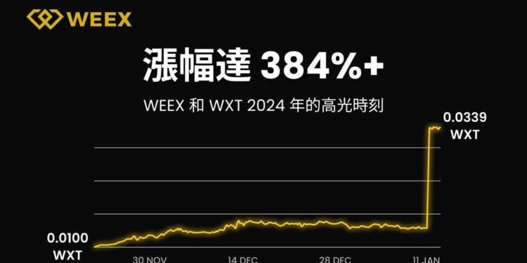 WEEX 2024年度報告：用戶突破 500 萬，日均交易額超 50 億美元，團隊規模達 500+