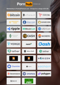 Pornhub 遭美國超過 1/3 州封鎖！無法使用信用卡、仰賴加密貨幣支付 | 動區動趨-最具影響力的區塊鏈新聞媒體