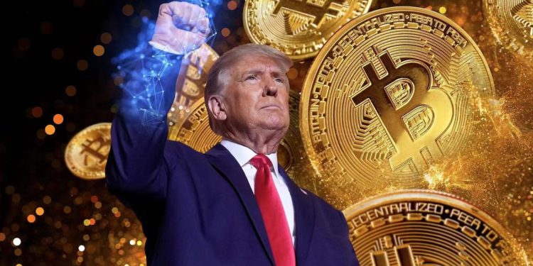 紐約郵報：川普上台將優先支持Solana、Ripple..等美國公司，4年打壓已結束