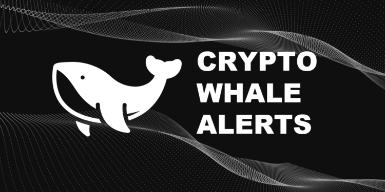 crypto-whale-alerts | 動區動趨-最具影響力的區塊鏈新聞媒體 分析》追蹤巨鯨動向作為交易訊號真的可靠嗎?