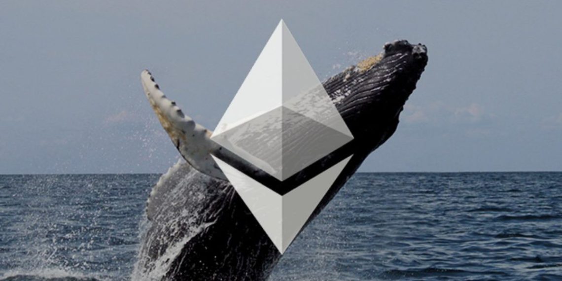 eth whale | 動區動趨-最具影響力的區塊鏈新聞媒體 ETH下殺3100美元!勝率超80%波段巨鯨逆勢加倉以太坊,反轉要來了?
