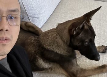 CZ愛犬名叫花椰菜(Broccoli)！但趙長鵬強調不發迷因幣：社群怎麼玩不關我的事