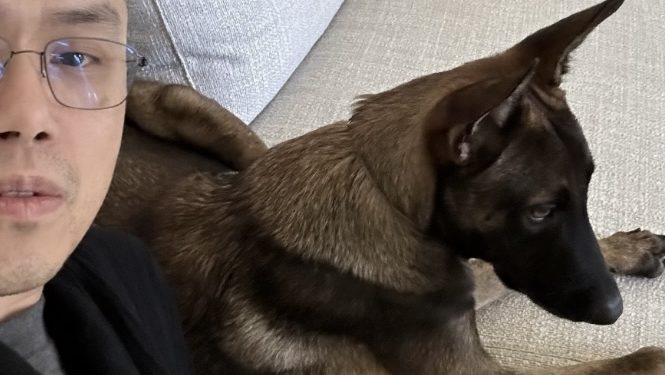 CZ愛犬名叫花椰菜(Broccoli)！但趙長鵬強調不發迷因幣：社群怎麼玩不關我的事