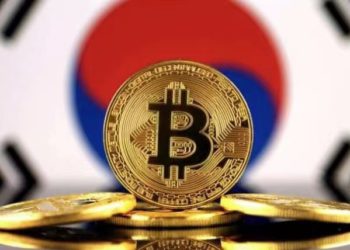 比特幣泡菜溢價衝上12%「創三年新高」，是看漲 or 看跌訓號？