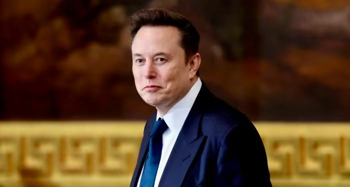 馬斯克 X 帳號改名 Harry Bōlz 暗示將獲更大權力？同名迷因幣狂歡後暴跌