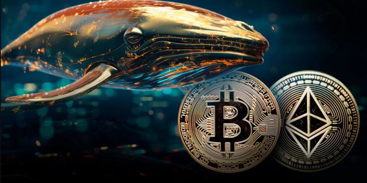 巨鯨開始做多BTC、ETH，一地址50倍高槓桿大賺220萬美元