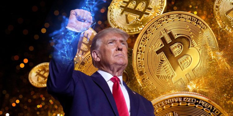 Bitwise預測：美國加密儲備主要全是比特幣，川普宣布規模將遠超市場預期