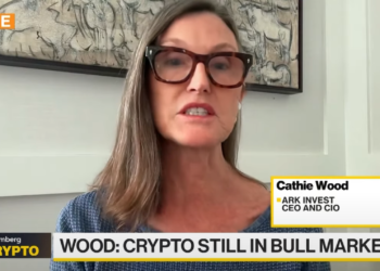 方舟Cathie Wood：迷因幣終將「一文不值」虧完才知道痛！比特幣2030年上看150萬美元