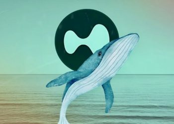 Hyperliquid 50倍巨鯨真身疑雲》X帳號改名MELANIA真有川普內幕？ZachXBT預告今踢爆犯罪證據