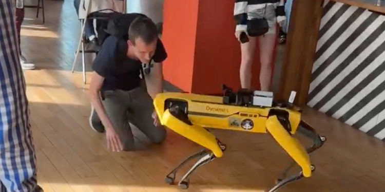 Vitalik對機器人「喵喵叫」引發熱議，以太坊社群：我全部錢都壓在學貓叫的人身上