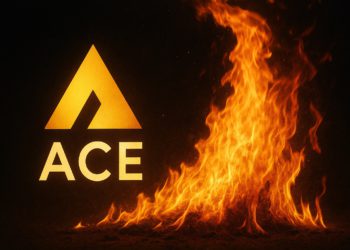 ACE交易所負責人更換，並非京城證券董座！無法提款受害用戶請向金管會登記（內含方法）