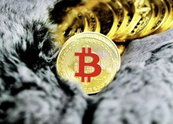 迷因幣的金融虛無主義已結束，是時候再次懷抱加密理想了