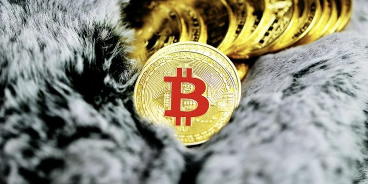 迷因幣的金融虛無主義已結束，是時候再次懷抱加密理想了