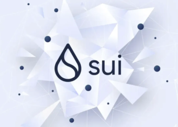 Delphi Digital：深度解析 Sui Q1 生態發展