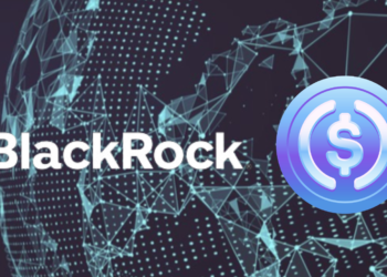 Circle、貝萊德「合作IPO」細節曝光：Blackrock 接管 90% USDC儲備資產、禁發穩定幣