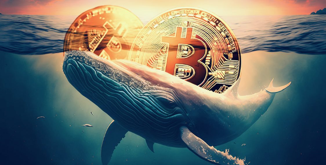 btcwhale | 動區動趨-最具影響力的區塊鏈新聞媒體 Cryptoquant分析師:比特幣巨鯨當前「傾向繼續持有」與散戶不同,市場尚未過熱