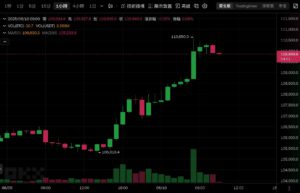 Xnip2025-06-10_09-05-15 | 動區動趨-最具影響力的區塊鏈新聞媒體