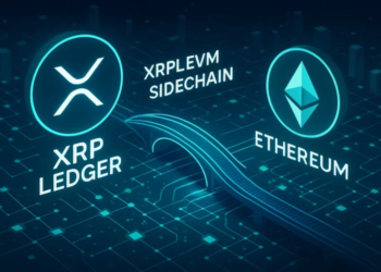 瑞波「XRPL EVM 側鏈」主網正式上線，以XRP支付Gas費、有何特色？