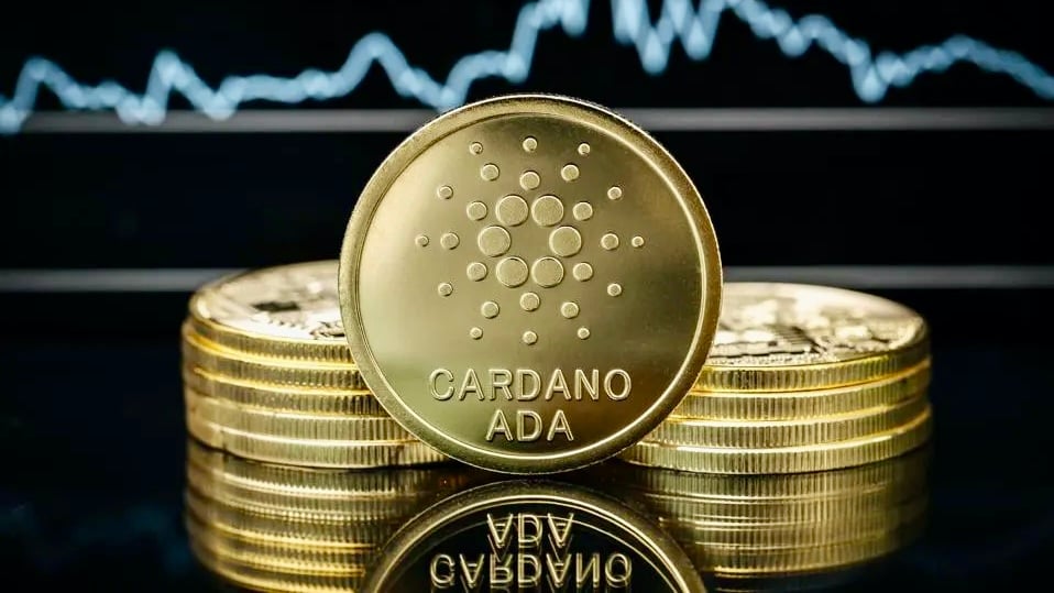 Cardano基金會最新財報：資產儲備漲至6.59億美元，ADA佔76%、比特幣15%