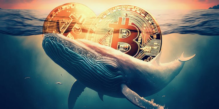 比特幣巨鯨又要倒貨？沉睡 14.5 年 BTC 錢包甦醒：持倉 3,962 枚 BTC、回報率高達 37 萬倍