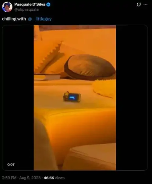 4-1754987289249 | 动区动趋-最具影响力的区块链新闻媒体