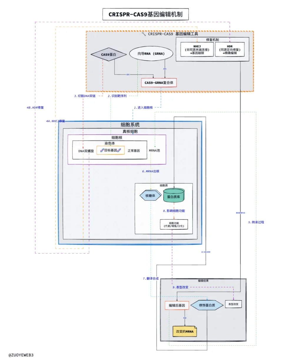 5-1755475441888 | 動區動趨-最具影響力的區塊鏈新聞媒體