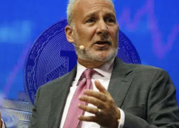 比特幣大反派Peter Schiff：川普開放401(k)投資BTC，只會加劇美國「退休危機」