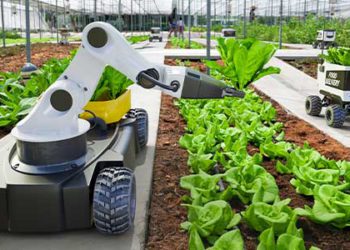 股價飆3倍！農業科技公司AgriFORCE轉型AVAX財庫，募資七億美元更名AVAX One