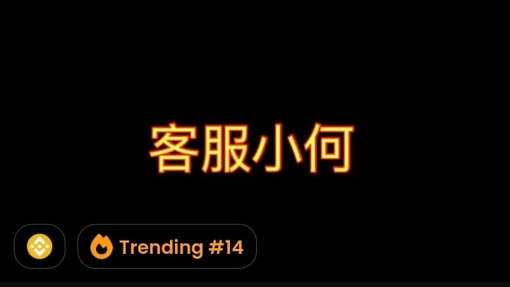 「客服小何」上線幣安Alpha、某交易員半小時獲利38萬鎂！社群質疑內幕交易