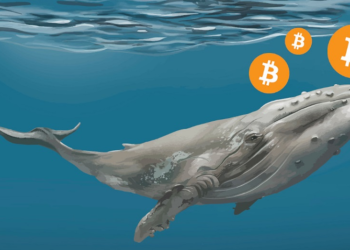 「1011 內幕巨鯨」再開 5 億美元比特幣空單，24 小時光速獲利 2,000 萬鎂，真有內幕？